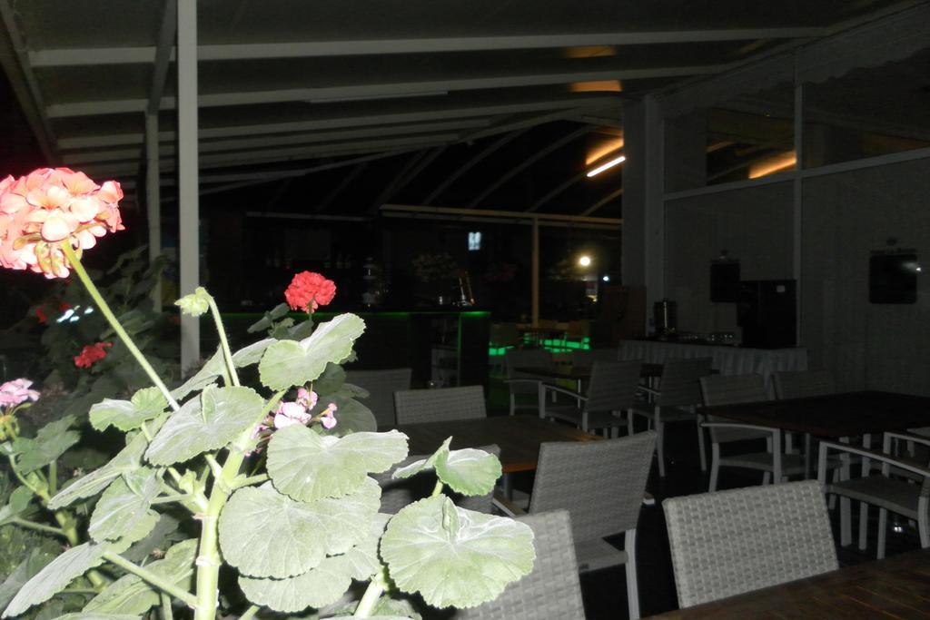 אלאניה Hotel La Mosae מראה חיצוני תמונה
